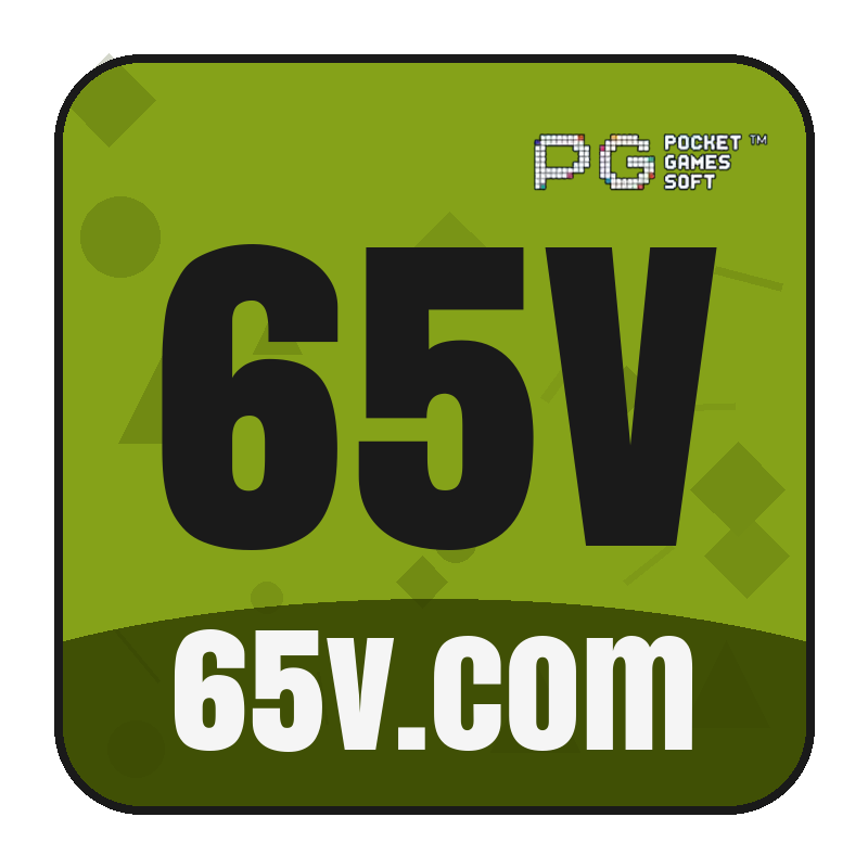 65v.com logo